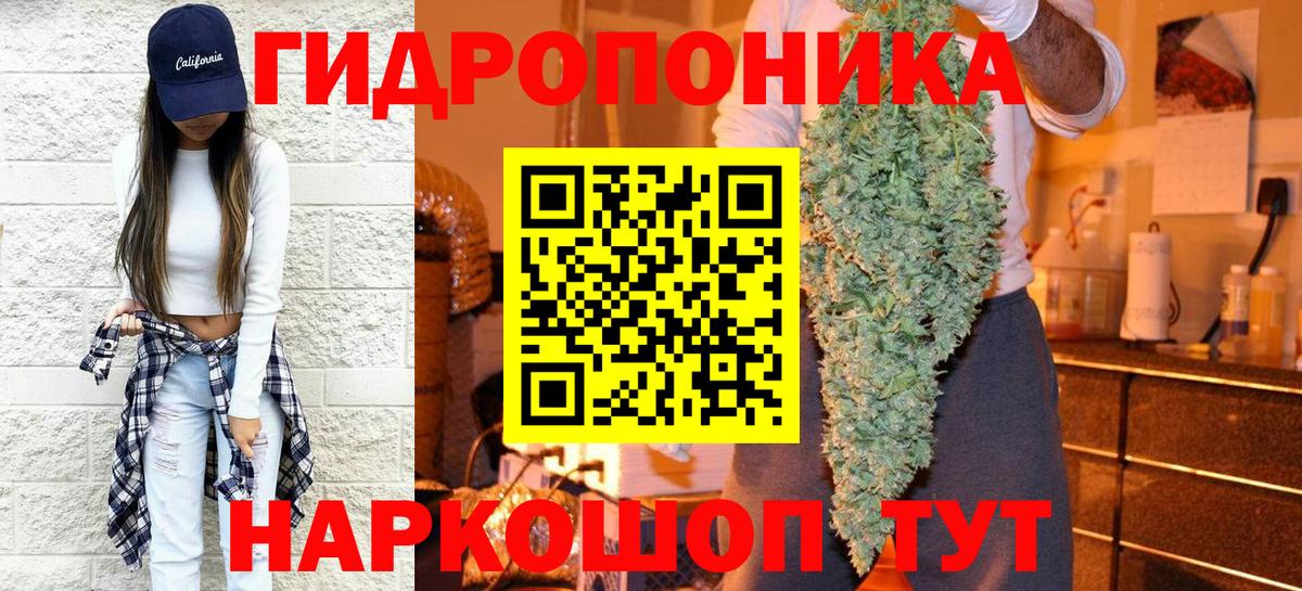 Бошки марихуана конопля  МАРИХУАНА семена  Волхов  Вход с VPN 